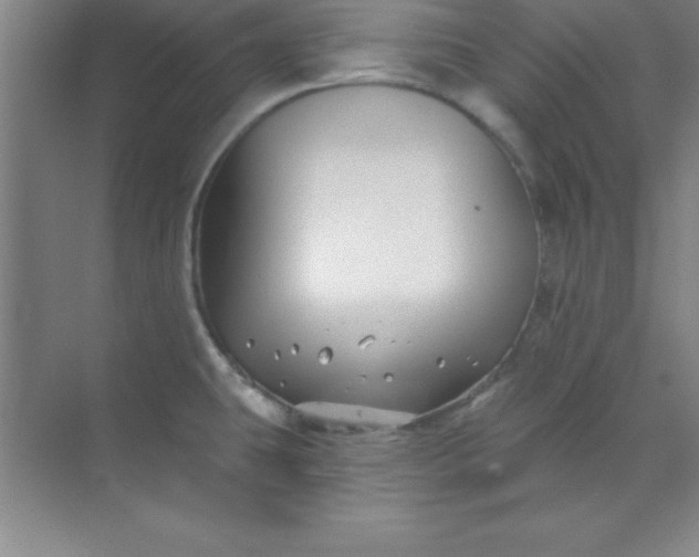 X0000071391431200607071856