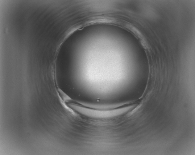 X0000071391433200607071856