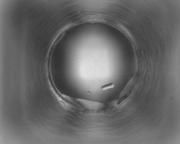 X0000071391434200607071856