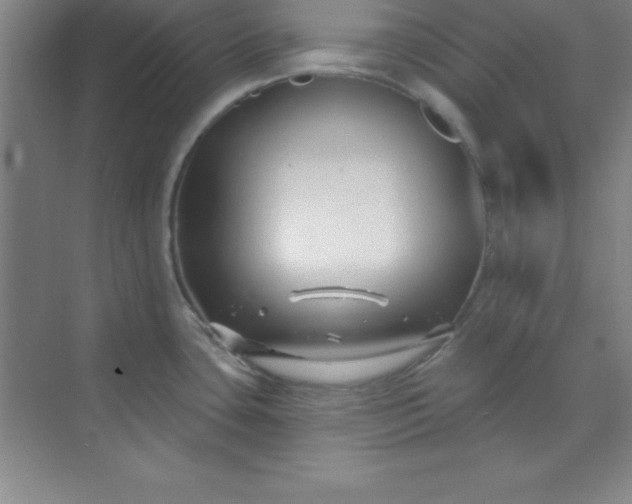 X0000071391435200607071856