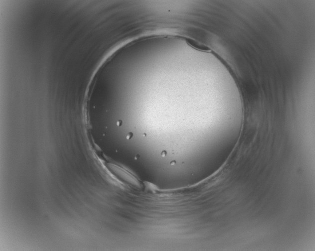 X0000071391436200607071856