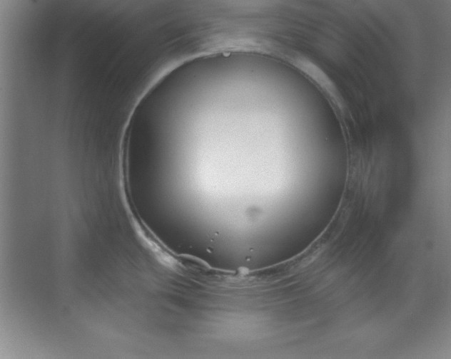 X0000071391439200607071857