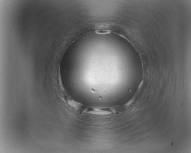 X0000071391441200607071856