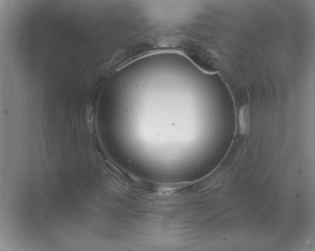 X0000071391443200607071856