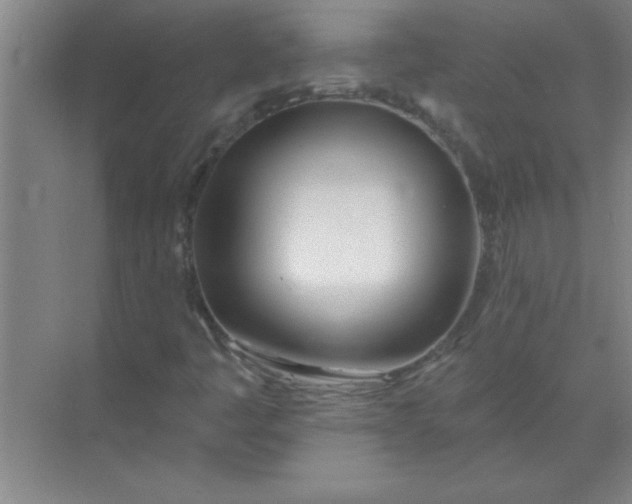 X0000071391445200607071856