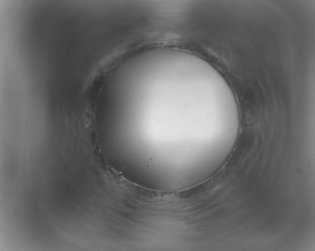 X0000071391447200607071856