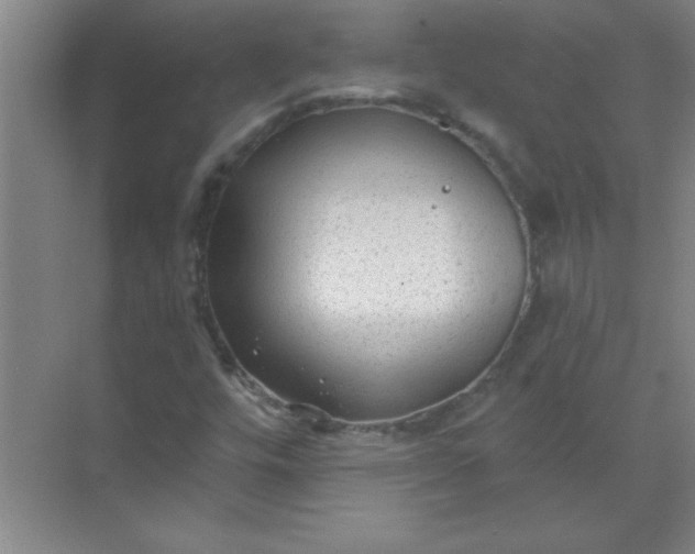 X0000071391448200607071856