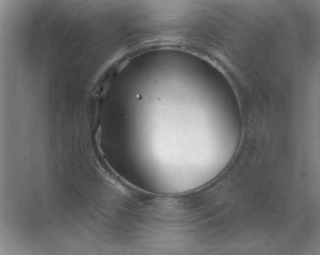 X0000071391450200607071856