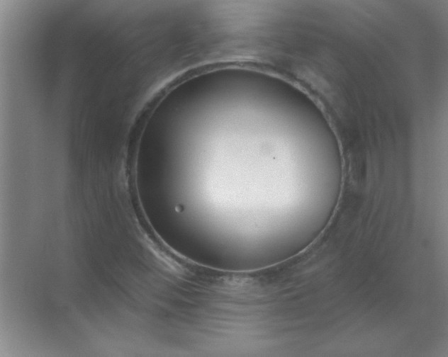 X0000071391452200607071856