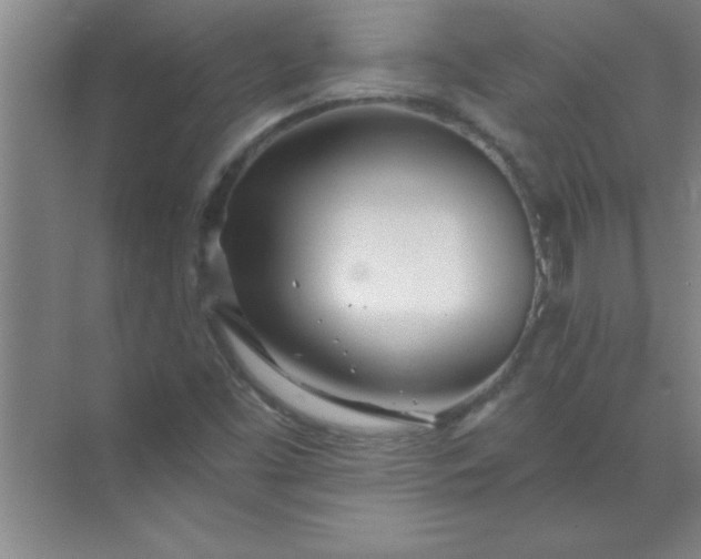 X0000071391453200607071856