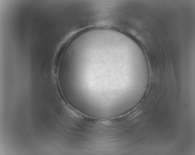 X0000071391454200607071856