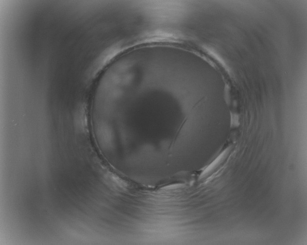 X0000071391455200607071856