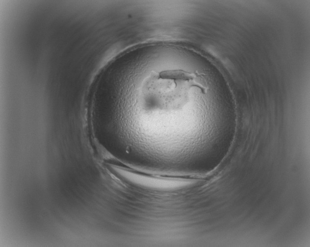 X0000071391459200607071855