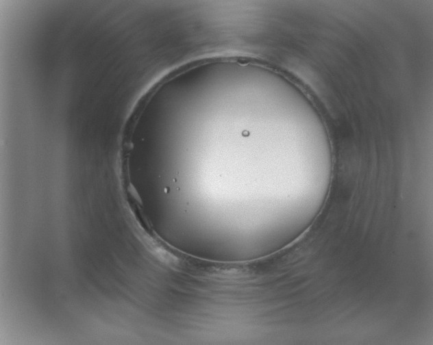 X0000071391460200607071855