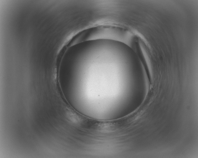 X0000071391461200607071855