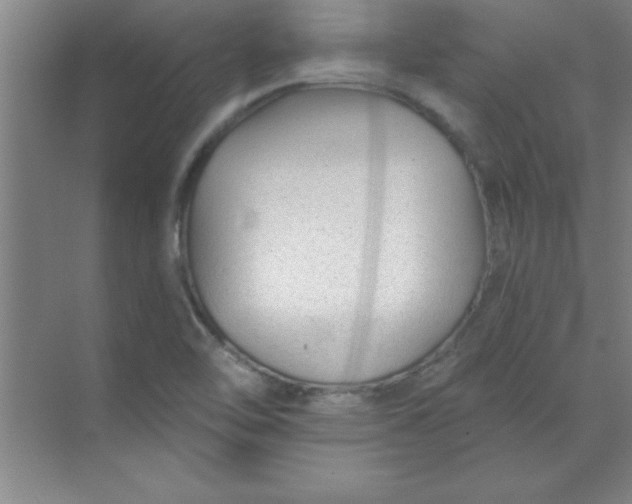 X0000071391462200607071855