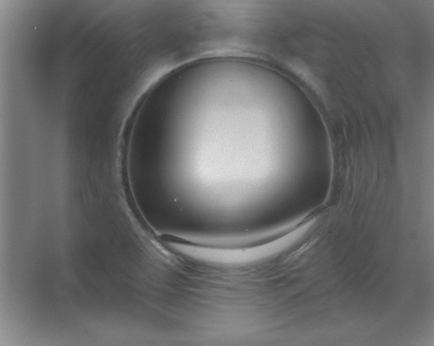 X0000071391463200607071855