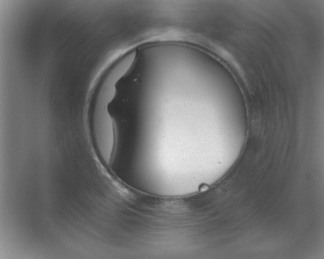 X0000071391464200607071855