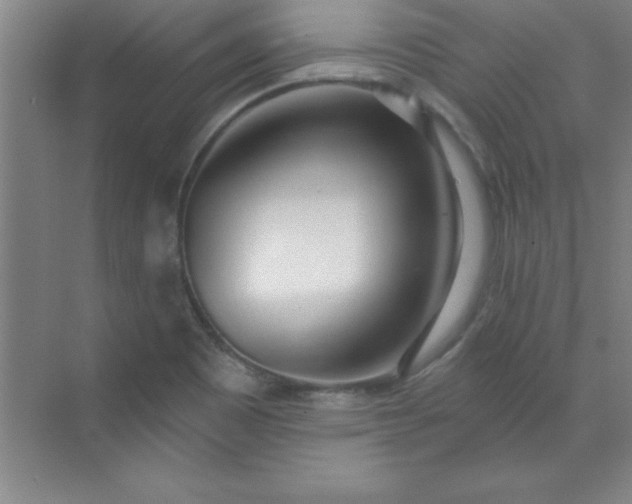 X0000071391465200607071855