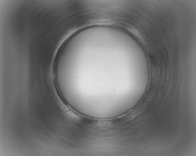 X0000071391466200607071855