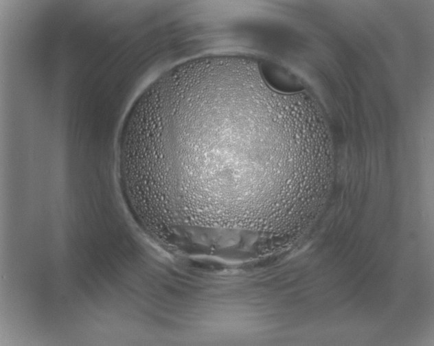 X0000071391467200607071855