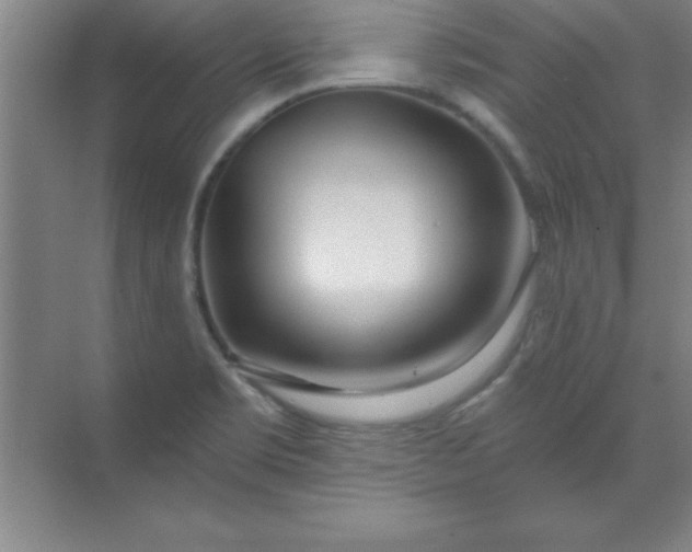 X0000071391469200607071855