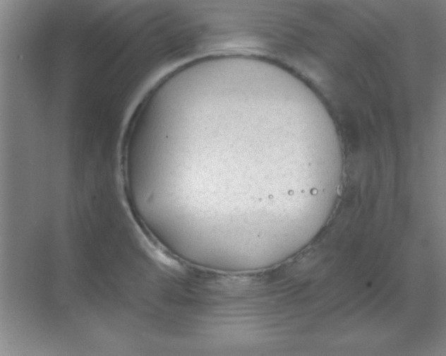 X0000071391470200607071855