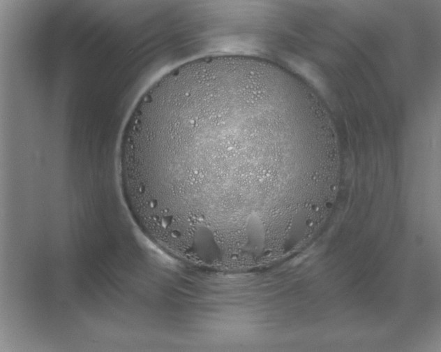 X0000071391471200607071855