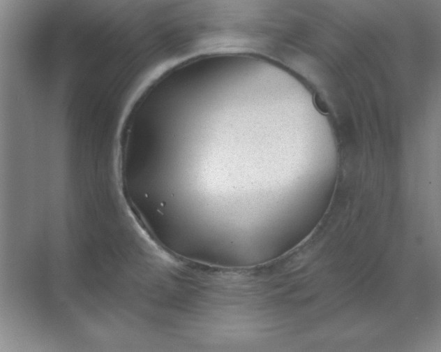 X0000071391472200607071855