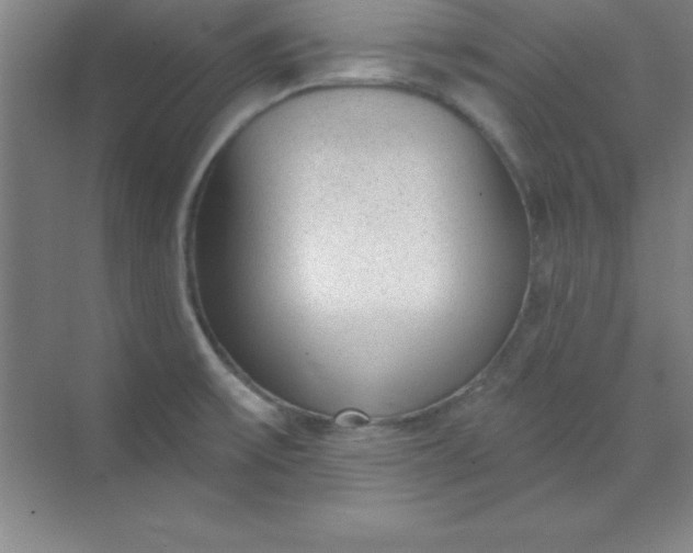 X0000071391475200607071855