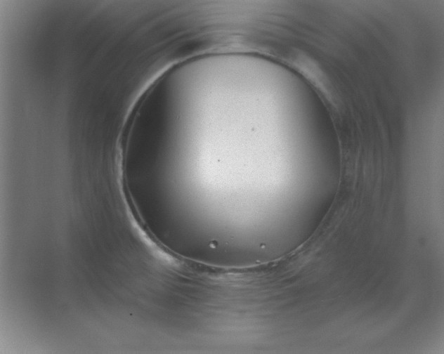 X0000071391476200607071855