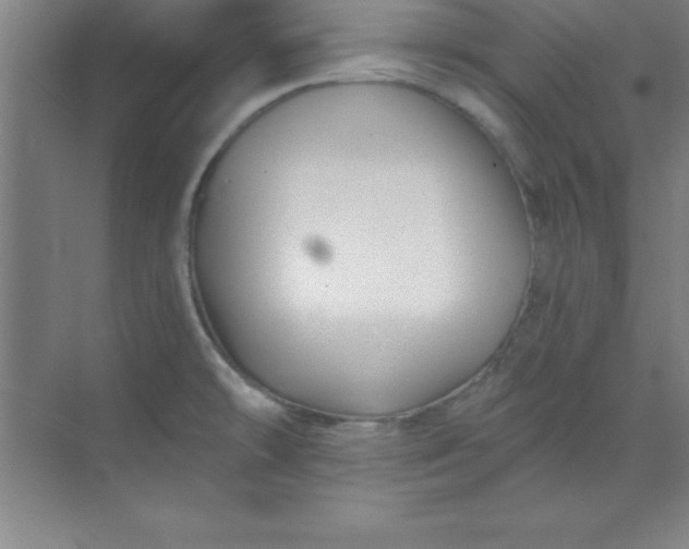 X0000071391478200607071855