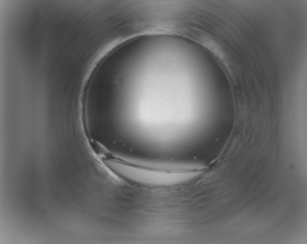 X0000071391480200607071855