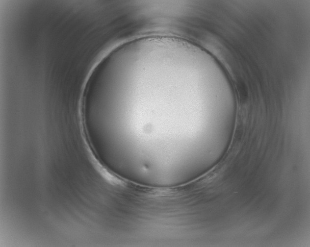 X0000071391482200607071855