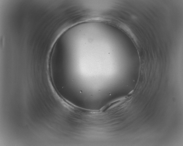 X0000071391483200607071855