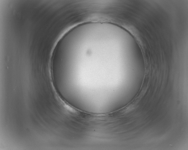 X0000071391486200607071855