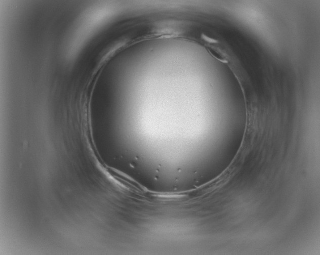 X0000071391487200607071855