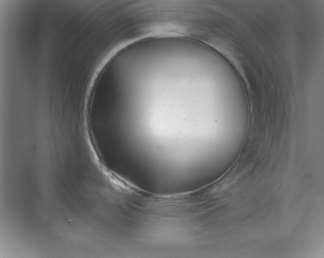 X0000071391488200607071855