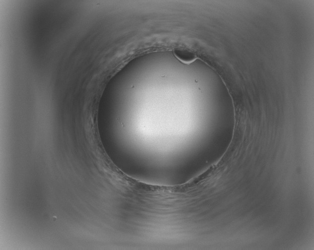 X0000071391489200607071854