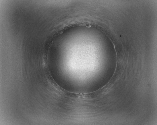 X0000071391490200607071854