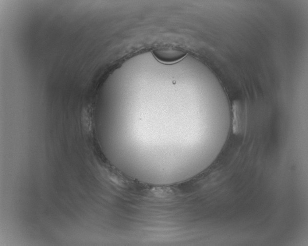 X0000071391491200607071854