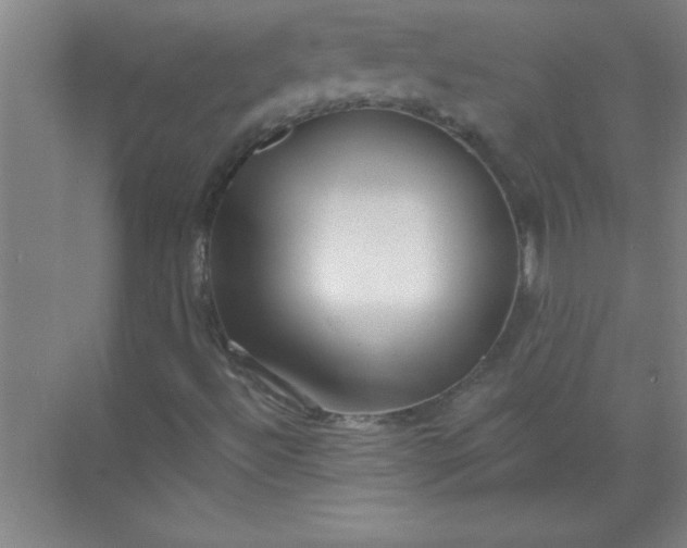 X0000071391492200607071854