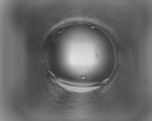 X0000071391494200607071854