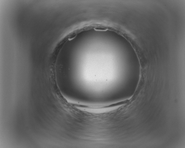 X0000071391496200607071854