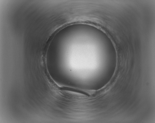 X0000071391497200607071854