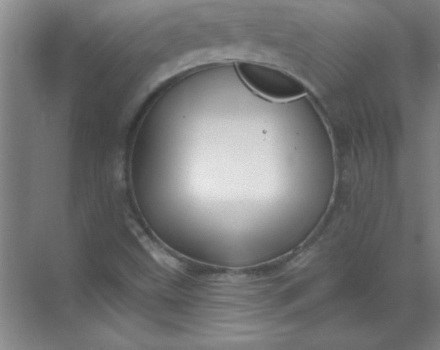 X0000071391499200607071854