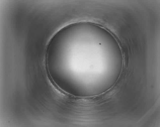 X0000071391500200607071854