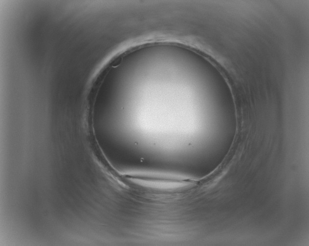 X0000071391502200607071854