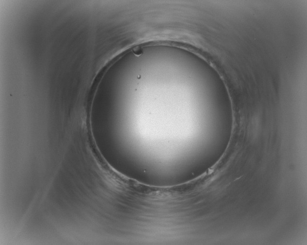 X0000071391505200607071854