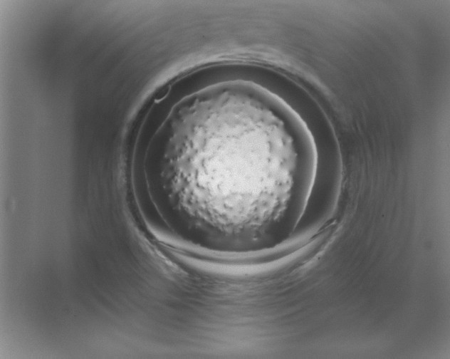 X0000071391506200607071854